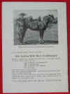 BillyJenkins-NK-015-2.JPG (36153 Byte)